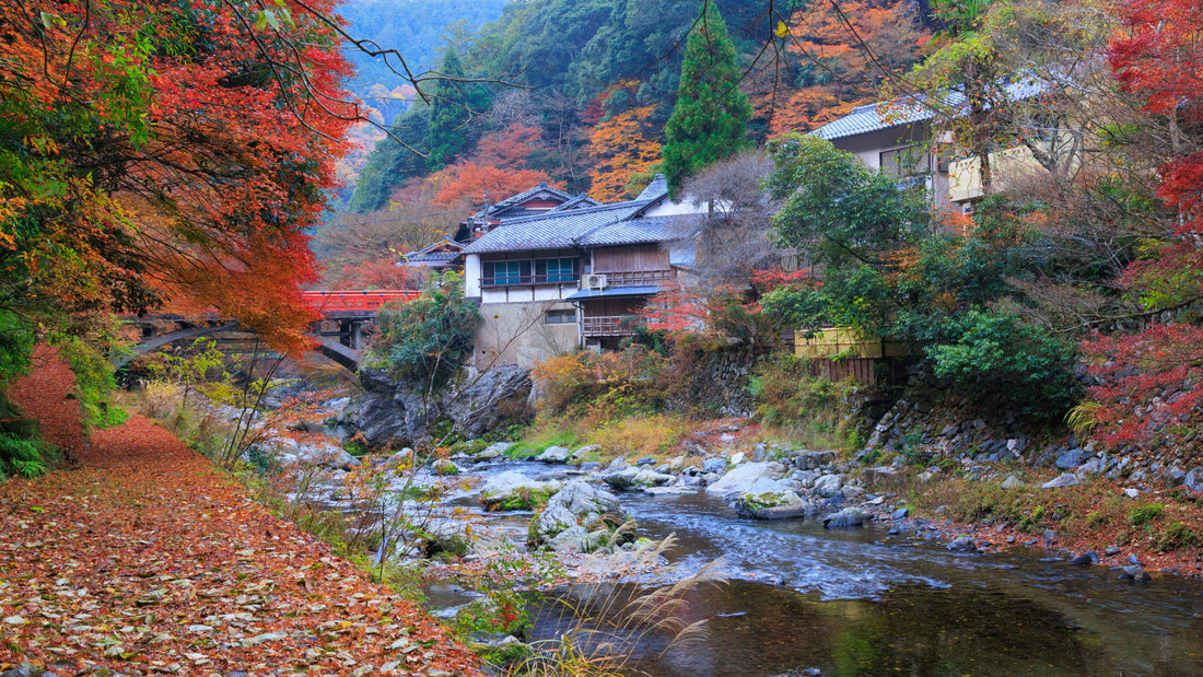 Takao to Hozukyo Gorge | Kyoto
