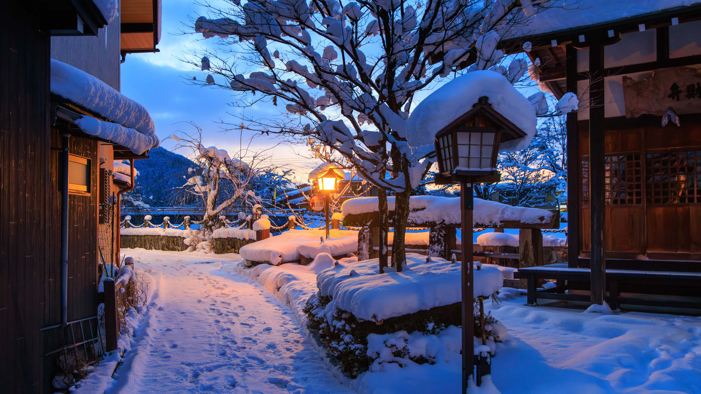 Winter 2026 Wallpapers