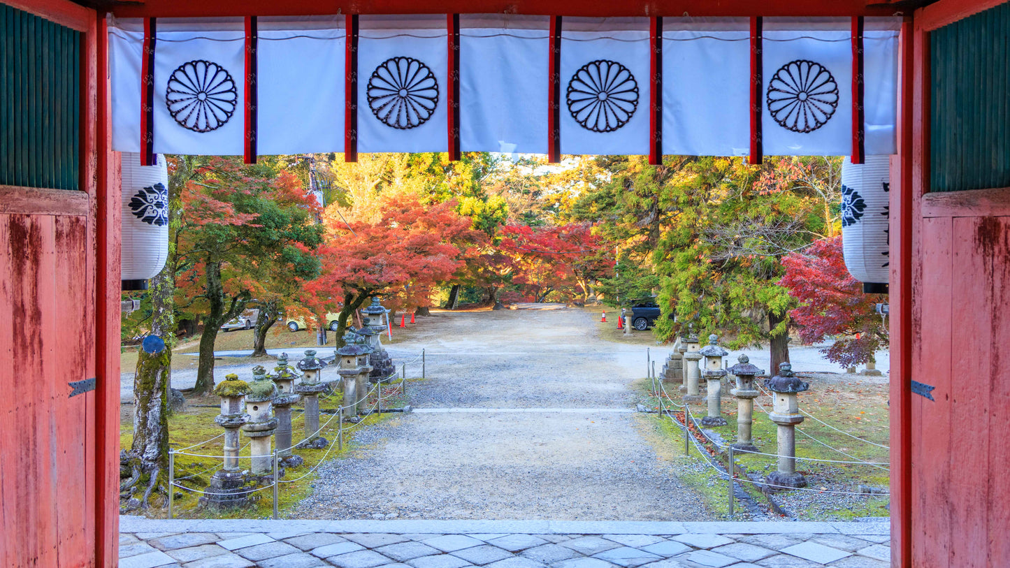 Six Morning Views, Nara Park