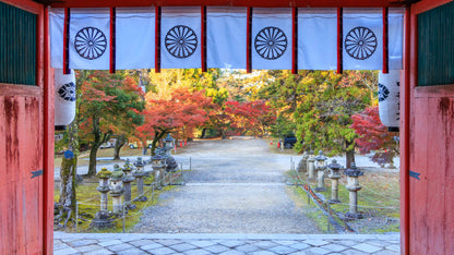 Six Morning Views, Nara Park