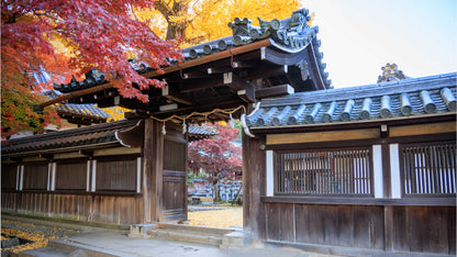 Six Morning Views, Nara Park