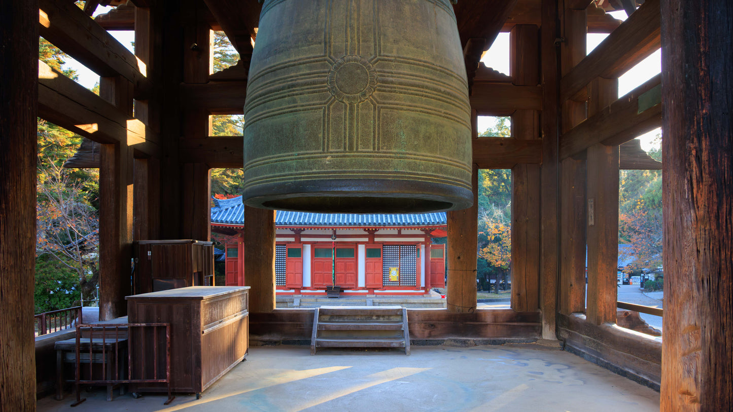 Six Morning Views, Nara Park